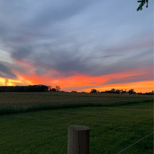 Meet your Posher, Alexis